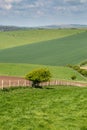 Sussex Spring Landscape Royalty Free Stock Photo