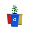 sustainability concept. Growing plant inside yellow recycling trash can on white background.
