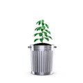 sustainability concept. Growing plant in trash can on white background.