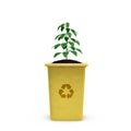 sustainability concept. Growing plant in yellow trash can on white background.