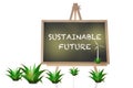 Sustainable future environment protection society and economics on chalkboard isolated on white background Royalty Free Stock Photo