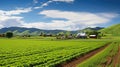 sustainability earth day farm Royalty Free Stock Photo