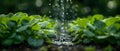Sustainable Agriculture: Precision Irrigation System. Concept Water Conservation, Crop Health, Farm