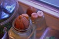 Sustainable avocado propagation on European windowsill in Berlin Germany