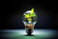 Sustainable Earth idea: plant sprout in light bulb of energy awareness