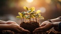 Sustainable Eco-Awareness. Green Hands Nurturing Growth by Planting Environmental Seeds