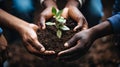 Sustainable Eco-Awareness. Hands Nurturing Growth of Small Plant in Rich, Fertile Soil