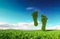 Sustainable eco friendly lifestile concept. 3d rendering of a footprint icon on fresh spring meadow with blue sky in background.