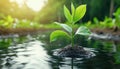 Sustainable Ecosystem Data Unlocking Green Growth with Environmental Information, A Data-Driven Approach to Sustainability