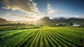 Sustainable Farm Landscape