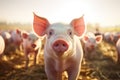 Sustainable Farming Capturing Ecological Pigs and Piglets at a Domestic Farm. created with Generative AI Royalty Free Stock Photo