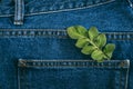 Sustainable fashion, Circular economy, denim eco friendly clothing. Green leaf plant on blue denim jeans background