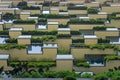 Sustainable green building with plants on facade Royalty Free Stock Photo