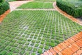 Sustainable landscaping design featuring a permeable concrete paver system with grass growing through the grids, bordered by red Royalty Free Stock Photo
