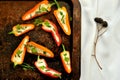 Still life photography with mini bell peppers and goat cheese on a tray Royalty Free Stock Photo