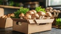 Sustainable Mushroom-Based Biodegradable Packaging Solution Royalty Free Stock Photo
