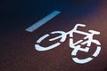 Sustainable transport. Bicycle traffic signal, road bike Royalty Free Stock Photo