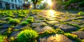 Sustainable Urban Paving Innovative EcoFriendly Solutions for Green Infrastructure and Environmental Conservation Using Royalty Free Stock Photo