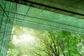 Sustainble green building. Eco-friendly building in modern city. Sustainable glass office building with tree for reducing carbon Royalty Free Stock Photo