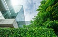 Sustainble green building. Eco-friendly building in modern city. Sustainable glass office building with tree for reducing carbon