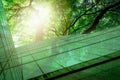 Sustainble green building. Eco-friendly building. Sustainable glass office building with tree for reducing carbon dioxide. Office Royalty Free Stock Photo