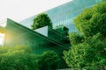 Sustainble green building. Eco-friendly building. Sustainable glass office building with tree for reducing carbon dioxide. Office Royalty Free Stock Photo