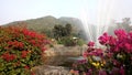 A garden at Susunia Hill, West Bengal, India