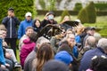 Andy Hughes, a professional resident Falconer demonstrates and explains the different hunting methods used by owls, hawks and