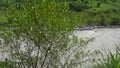 Sutlej or Satluj River flowing through the valleys of Himachal Pradesh. Monsoon season in India