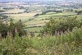 Sutton Bank Landscape, North York Moors Royalty Free Stock Photo