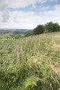 Sutton Bank Landscape, North York Moors Royalty Free Stock Photo