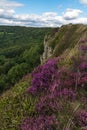 Sutton Bank Landscape Royalty Free Stock Photo