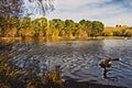 Sutton Park, West Midlands, UK. Picture for printing on canvas. Interior design, wall decorations.