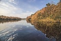 Sutton Park, West Midlands, UK. Picture for printing on canvas. Interior design, wall decorations.