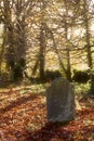 A Gravestone at St Leonards Church, Sutton Veny, Wiltshire, United Kingdom