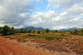 Suumer landscape with rural road in Spain.