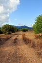 Suumer landscape with rural road in Spain.