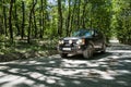 SUV in the forrest Royalty Free Stock Photo