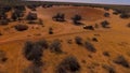 SUV with hunters goes along the trails of Namibia.