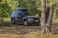 SUV in a pine forest on a meadow on a summer Royalty Free Stock Photo