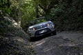 SUV Suzuki Vitara makes its way along a narrow forest path. Royalty Free Stock Photo