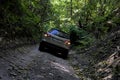 SUV Suzuki Vitara makes its way along a narrow forest path. Royalty Free Stock Photo