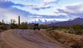 SUV Vehicle On Forest Road Four Peaks Wilderness Arizona Royalty Free Stock Photo