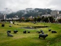 Rainy day at Suwa Lakeside Park with heavy clouds covering the mountains around Lake Suwako