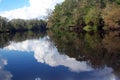 Suwannee River Reflections