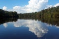 Suwannee River Reflections