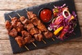 Suya- Roast African spicy skewered beef kebab is served with fresh vegetable salad and ketchup close-up. Horizontal top view Royalty Free Stock Photo