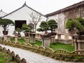 Bonsai trees at Humble Administrator`s Garden, one of the most famous classical gardens of Suzhou Royalty Free Stock Photo