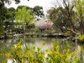 Springtime in Humble Administrator`s Garden, one of the most famous classical gardens of Suzhou Royalty Free Stock Photo