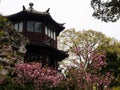 Springtime in Humble Administrator`s Garden, one of the most famous classical gardens of Suzhou